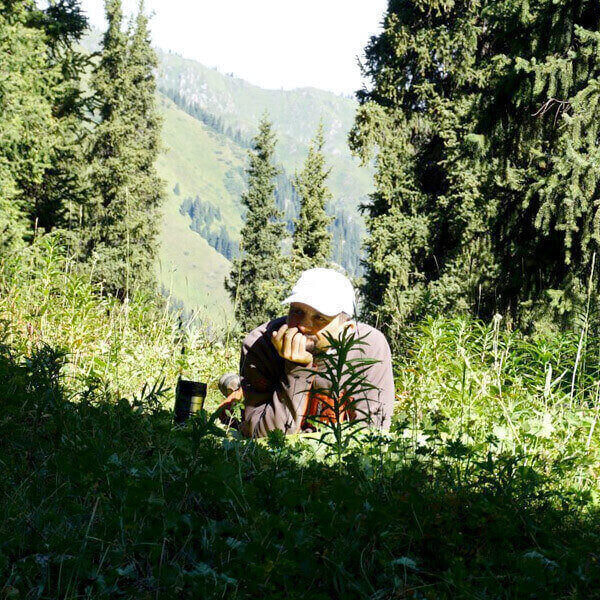 PS Cloud Services kompaniyasidagi karyera – PS Cloud Services, фото 16