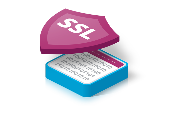 SSL-Sertifikatlar – PS Cloud Services, фото 2